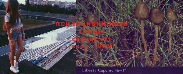 прущая мука Абаза