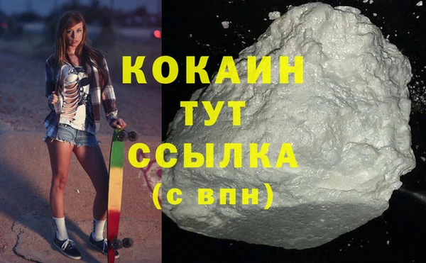 мдпв Кодинск
