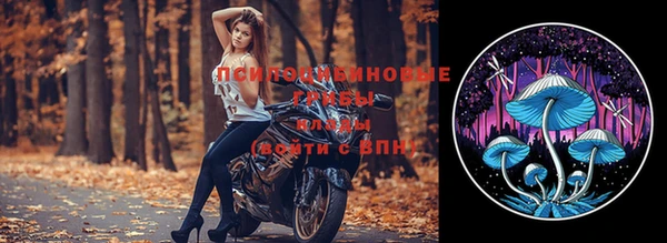 ПСИЛОЦИБИНОВЫЕ ГРИБЫ Козловка