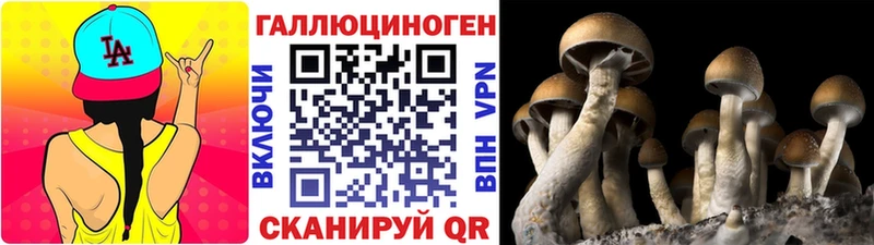 Галлюциногенные грибы Cubensis  Горячеводский 