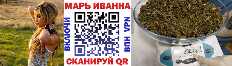 Каннабис сатива закладка Горячеводский